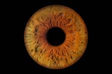 Maud et MARINE - Les bidons de lyon