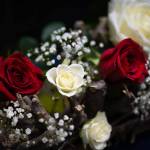 Julie RENAUT - SOUS NOS YEUX