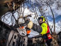 Alain DOUCE - ALAIN DOUCE