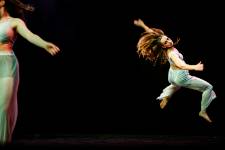 Alain DOUCE - ALAIN DOUCE