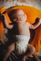 Fanny VINCENT - LE BONHEUR EN PHOTO